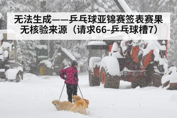 无法生成——乒乓球亚锦赛签表赛果无核验来源（请求66-乒乓球槽7）